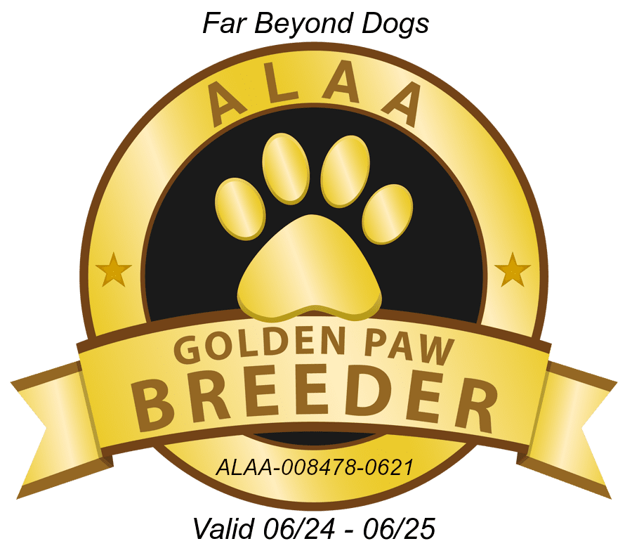 Far Beyond GOLDEN PAW LOGO 2024